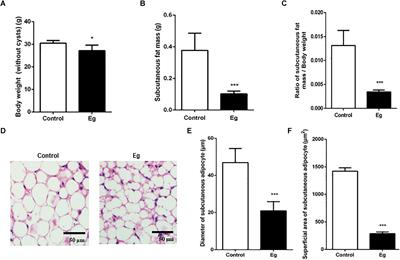 Microarray Analysis of lncRNA and mRNA Reveals Enhanced Lipolysis Along With Metabolic Remodeling in Mice Infected With Larval Echinococcus granulosus